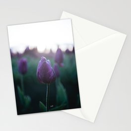 Sunrise Tulips Stationery Cards