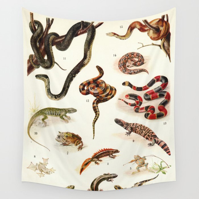 Adolphe Millot - Batraciens et reptiles - French vintage zoology poster Wall Tapestry