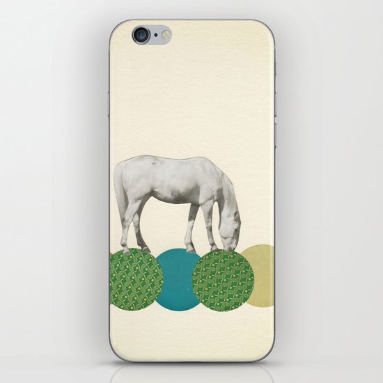 Graze iPhone & iPod Skin