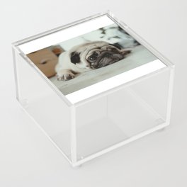 Mans Best Friend is a Dog 78 Acrylic Box