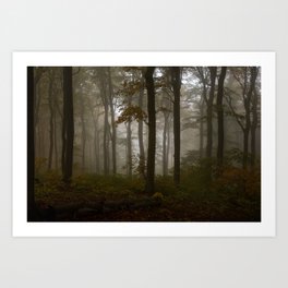 Haunted Forest Art Print