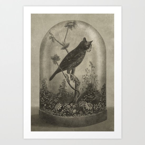 The Curiosity Art Print