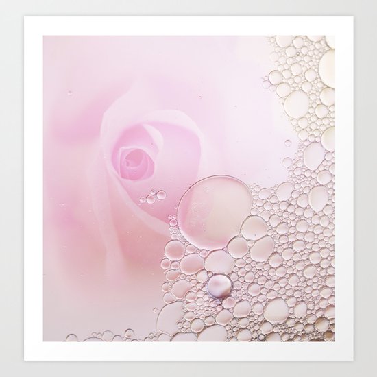 Rose and waterdrops Art Print