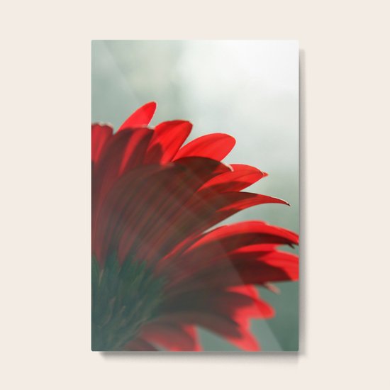 Gerber Metal Print