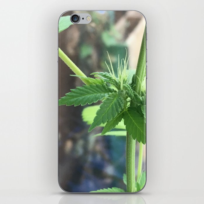 Cannabis Cluster iPhone Skin