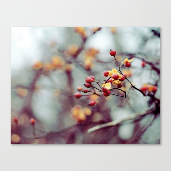 Frozen Fruit Canvas Print