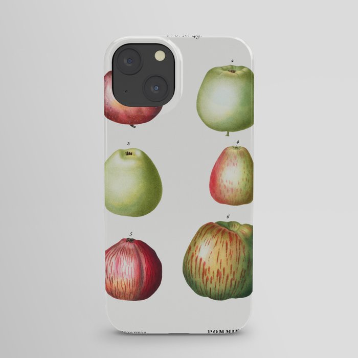 Apple (Malus communis) from Traité des Arbres et Arbustes que l’on cultive en France en pleine terre iPhone Case