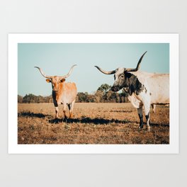 Dynamic Duo. Art Print