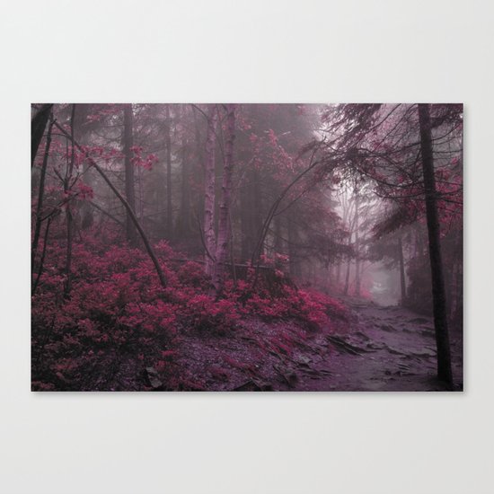 Fantasy Forest #woods Canvas Print