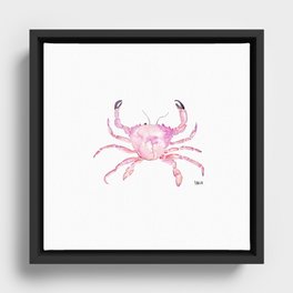 Crab - étrille petit crabe violet rose Framed Canvas