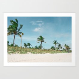 Tropical paradise | Key West, Florida Keys Art Print