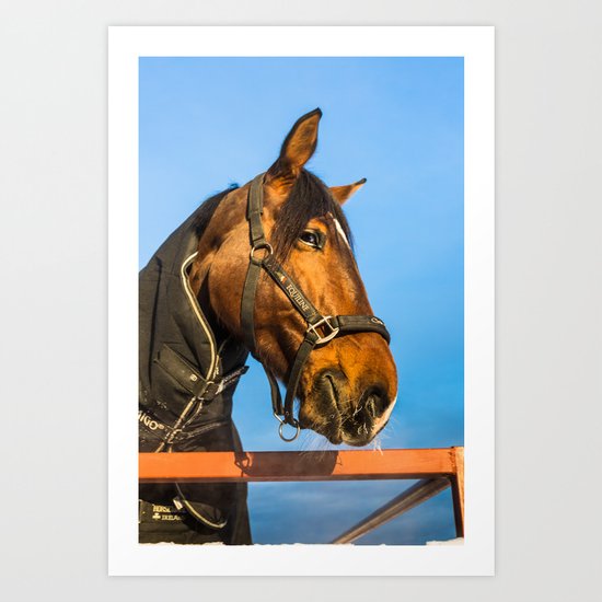Hide and seek Art Print