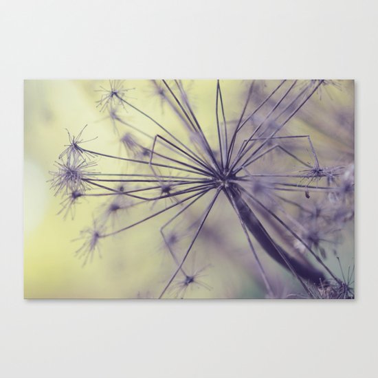Yesterday is but today's memory, and tomorrow is today's dream. Canvas Print