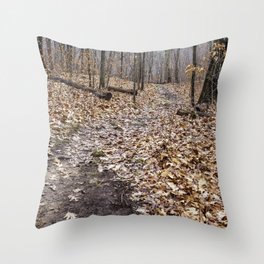 into the winter woods Throw Pillow