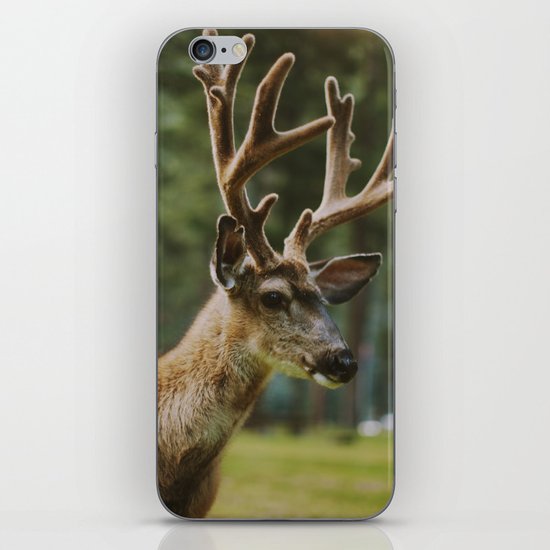 Joseph iPhone & iPod Skin