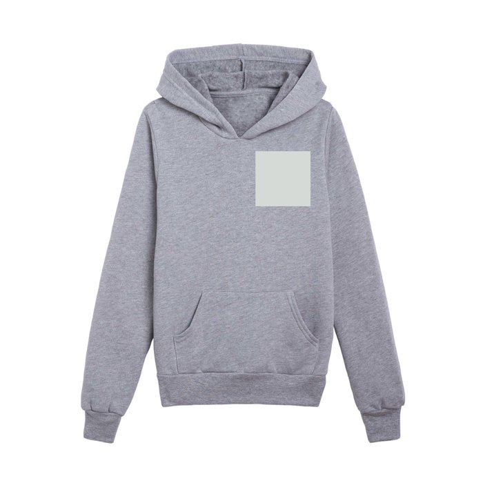 Pale Cool Gray Grey Solid Color Pairs PPG Icy Bay PPG1012 1
