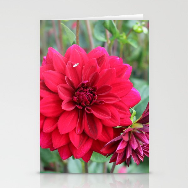 Blooming Red Stationery Cards