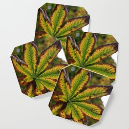 Beautiful Horse Chestnut Leaves In Color Change Coaster