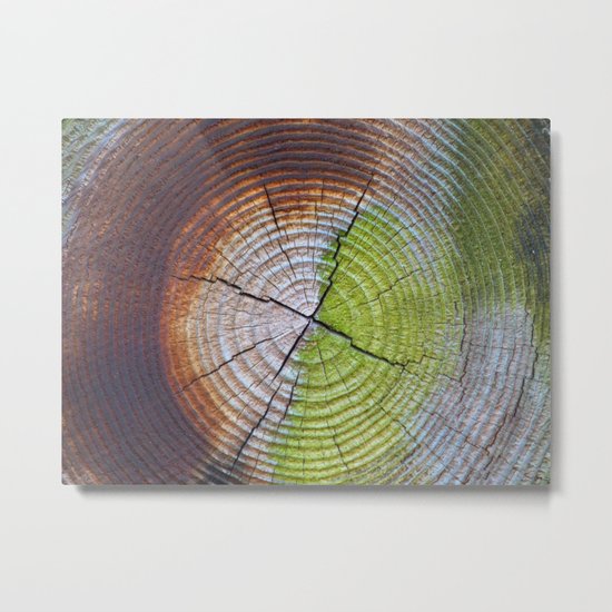 stump Metal Print
