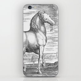 HORSE Vintage Illustration iPhone Skin