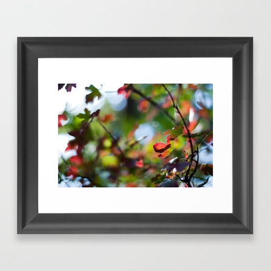 Autumn Rainbow Framed Art Print
