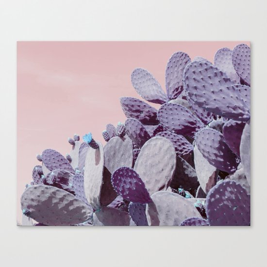 pink cactus Canvas Print