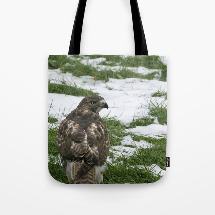 Hawks Winter Glance Tote Bag