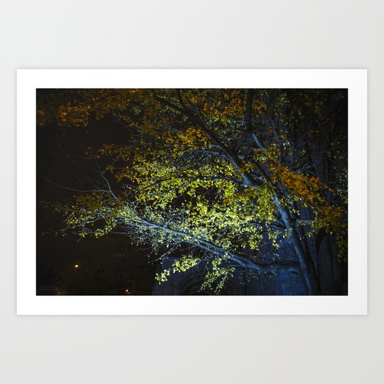Autumn Tree at Night Art Print
