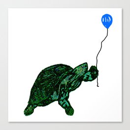 the Turtle Canvas Print