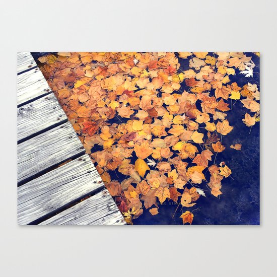 Float II Canvas Print