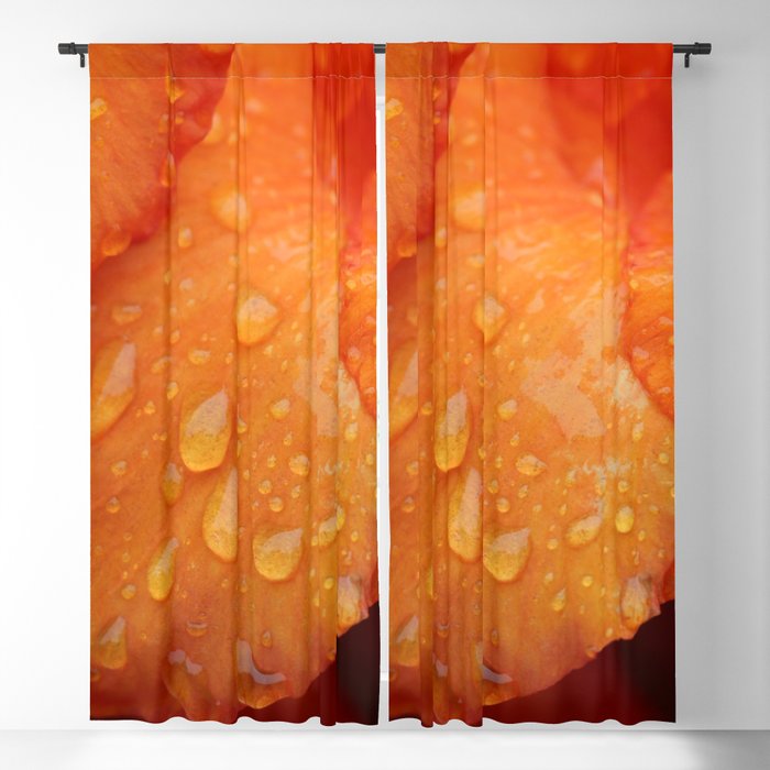 Wet orange flower petal (macro photography is a passion) Blackout Curtain