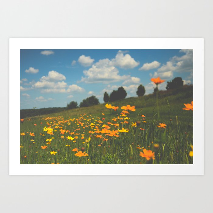 Dreaming in a Summer Field - boho nature wildflower photograph Art Print