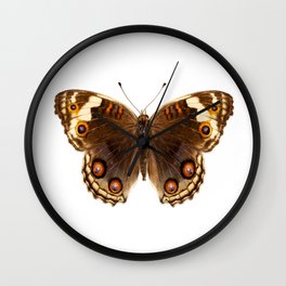 Butterfly species Junonia orithya "Eyed Pansy" Wall Clock | Species, Lapidoctera, Isolated, Orange, Java, Nymphalidae, Eyedpansy, Photo, Color, Antenna 