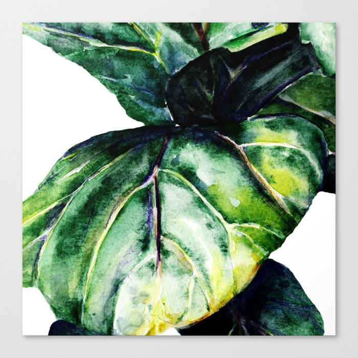 Leaf for green, botanical Canvas Print