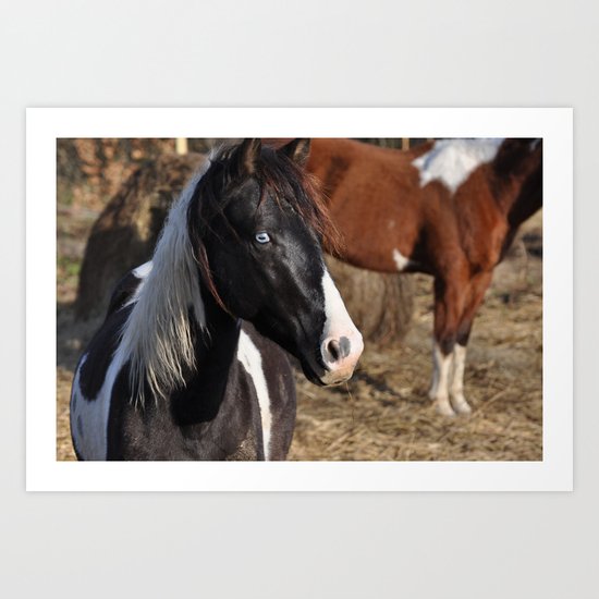 here's looking at you Art Print