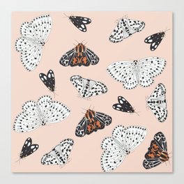 Muted Illustrated Moth Pattern Canvas Print