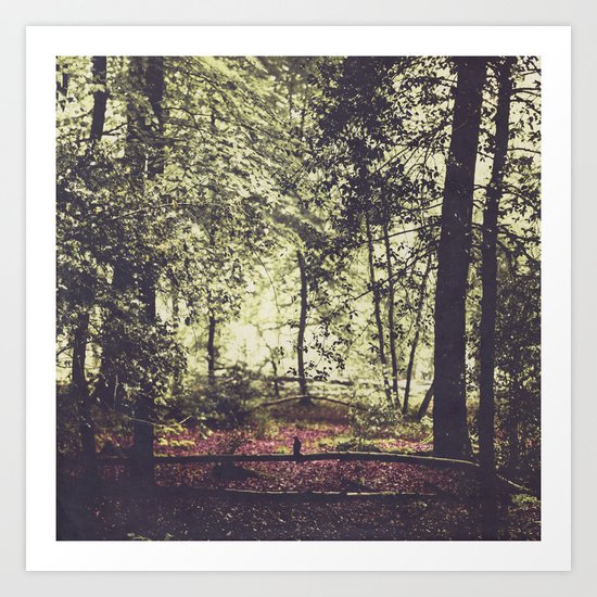 sHadow and liGht Art Print