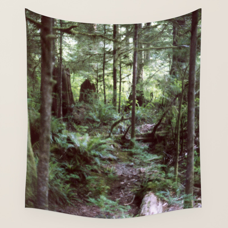 Canada Wall Tapestries  Society6