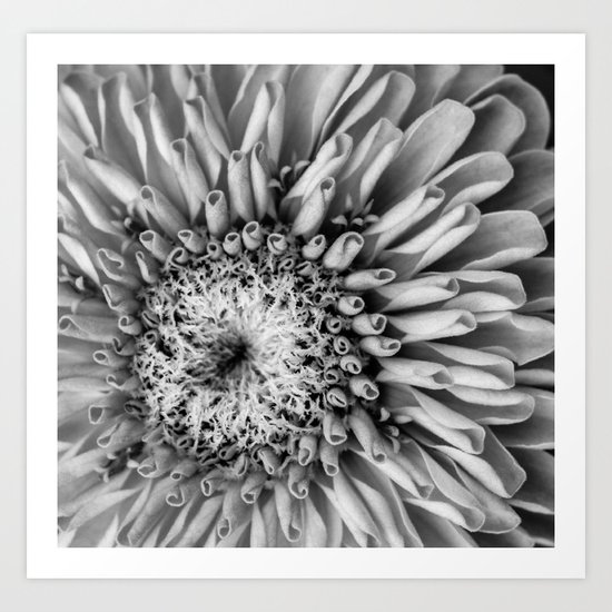 Where is Your Color, My Dear? Art Print