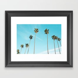 Palm Tree Sunshine Framed Art Print