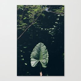 Organic Umbrella  Canvas Print