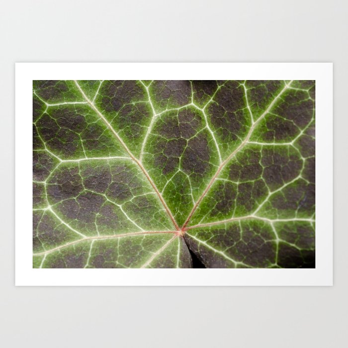 Leaf Lightning. Nature Photography Art Print