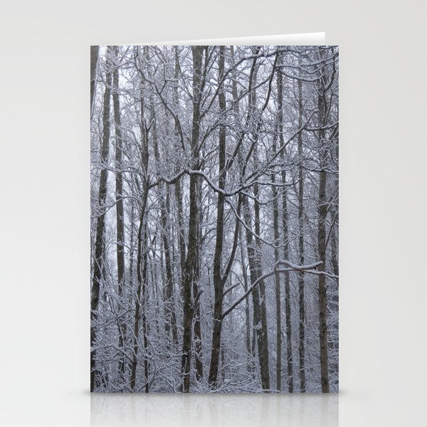 Snow Covered Birch Trees Stationery Cards