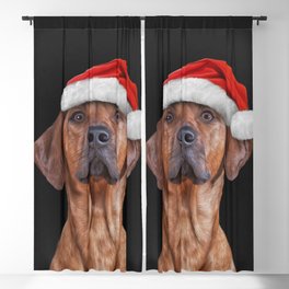 Drawing Vizsla Pointer in red hat of Santa Claus  Blackout Curtain