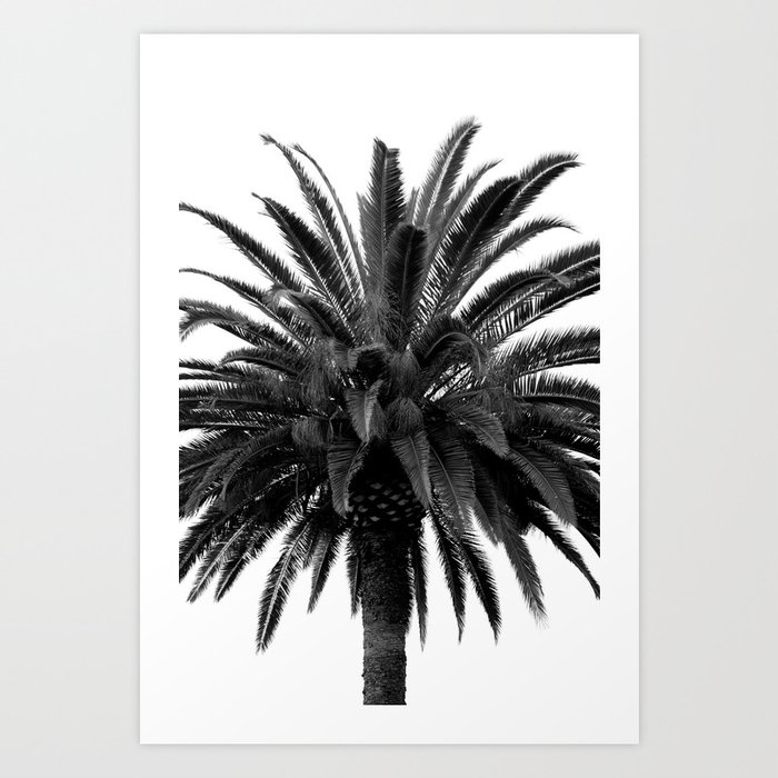 Palm Trees #398 Art Print