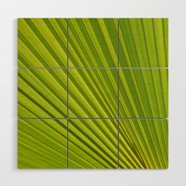 Palm leaf and Mediterranean sunlight 2 Wood Wall Art