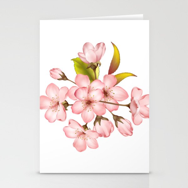 Pink Cherry Blossom on white background 3 Stationery Cards