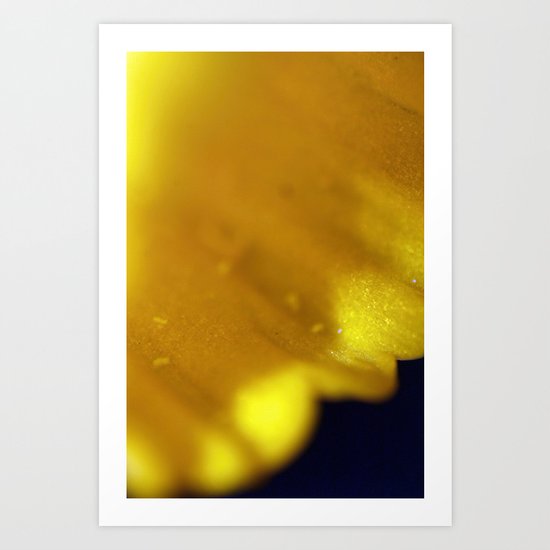 Daffodil Art Print