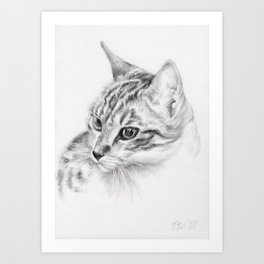 Tabby Cat Portrait Graphite Pencil Drawing Pet Illustration Decor