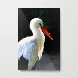 And I bring the babies yet   ;-) Metal Print | Animal, Nature, Photo 
